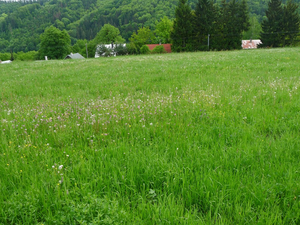 PavlaCzechVisit 200